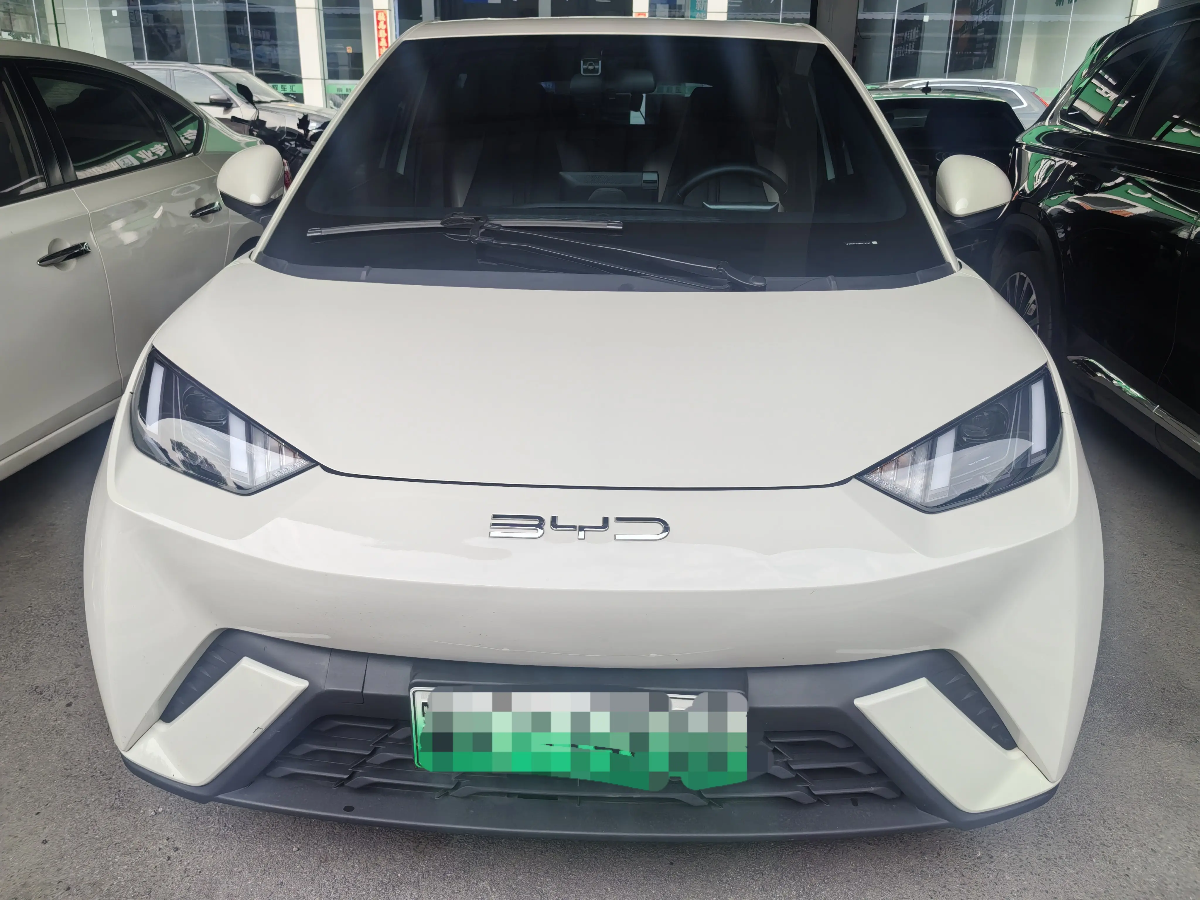 BYD Seagull