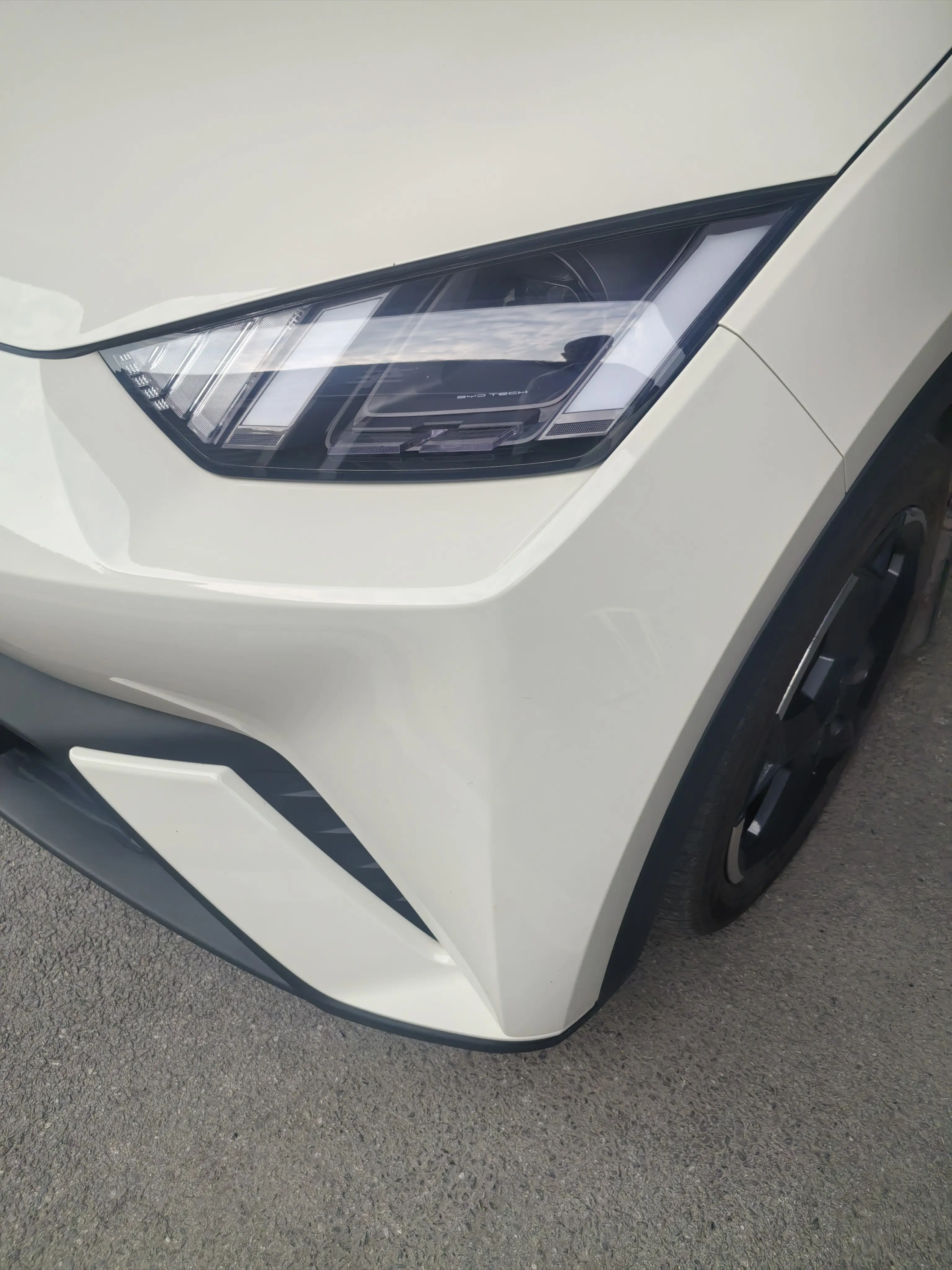 BYD Seagull