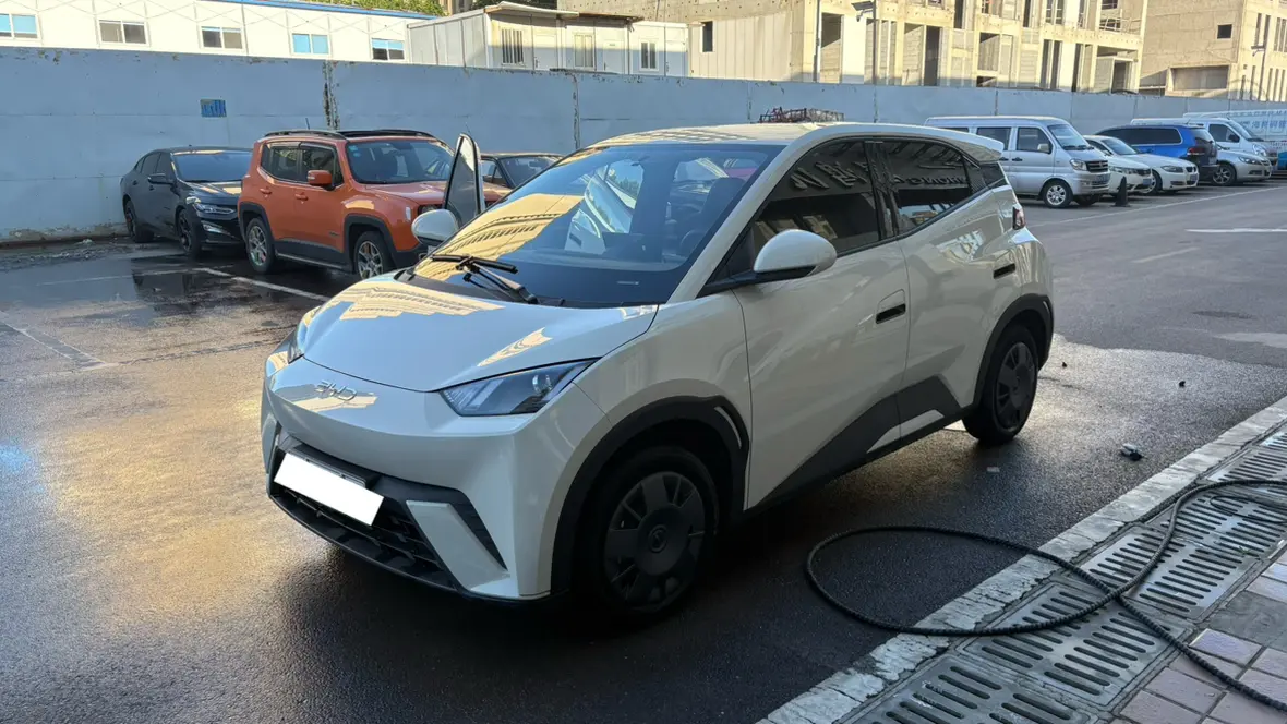 BYD Seagull