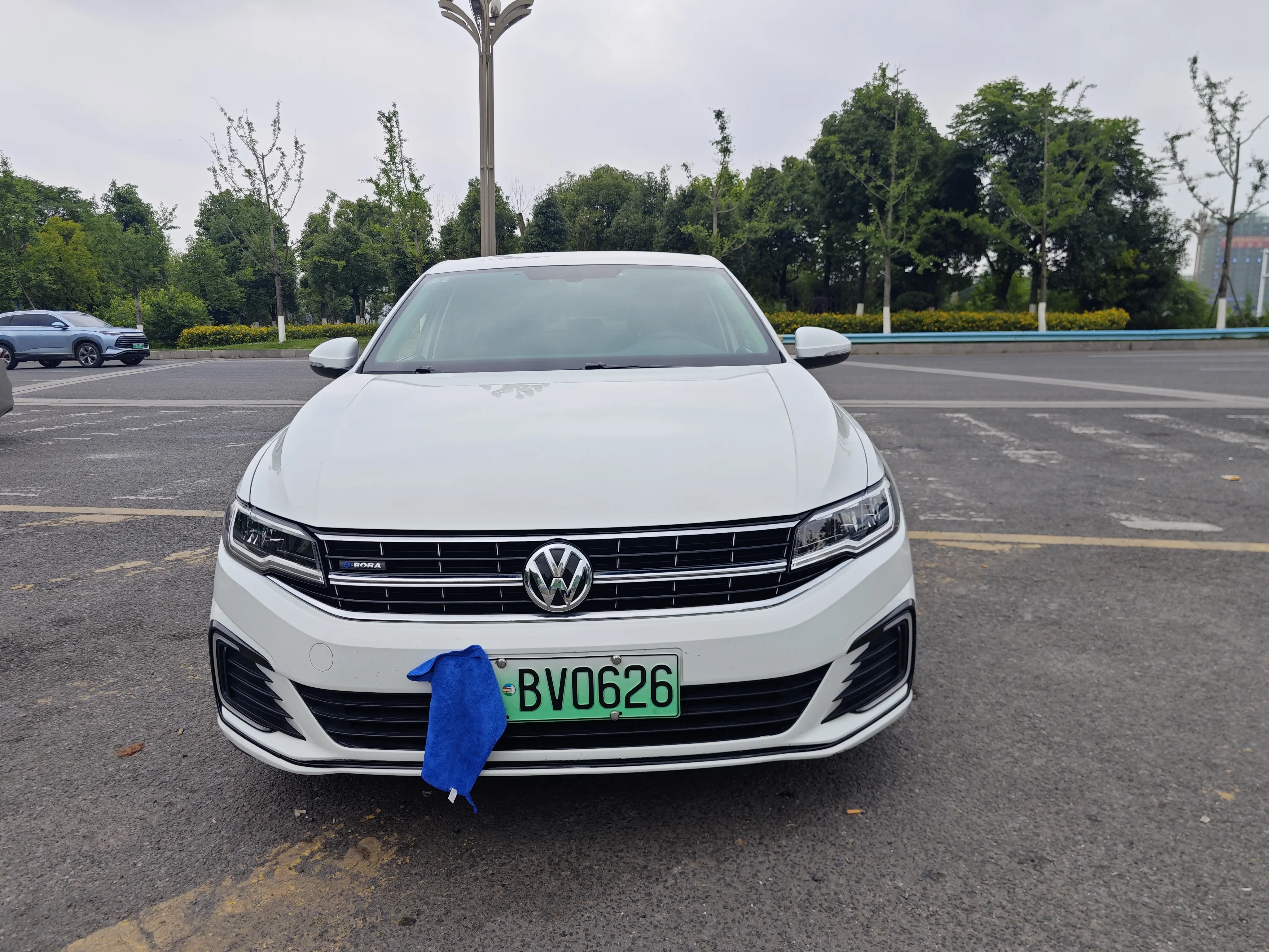 Volkswagen Bora·Pure Electric