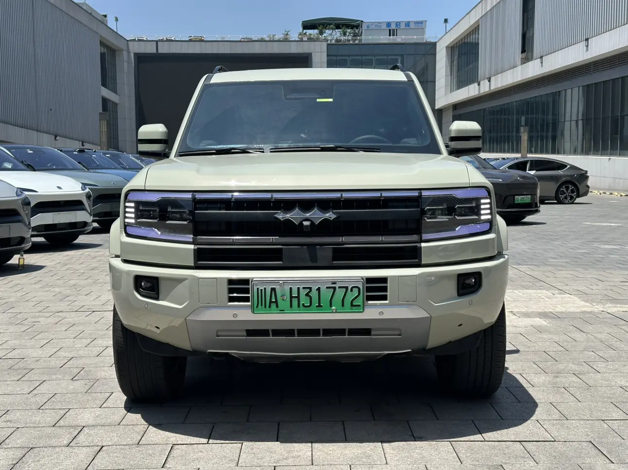 BYD Leopard Leopard 5