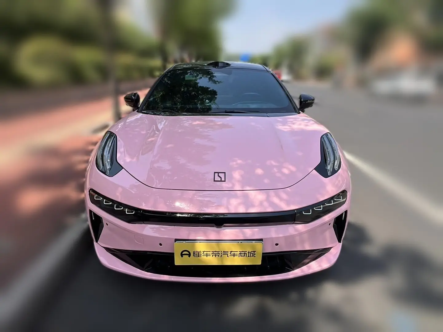 ZEEKR 001