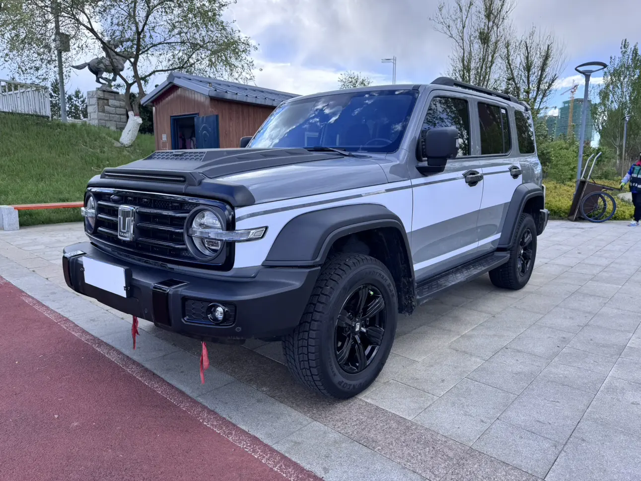 Tank 300