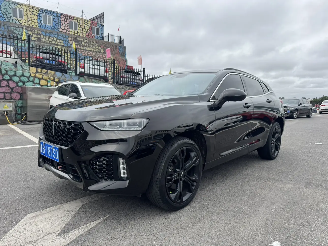 Wey Wei brand VV7
