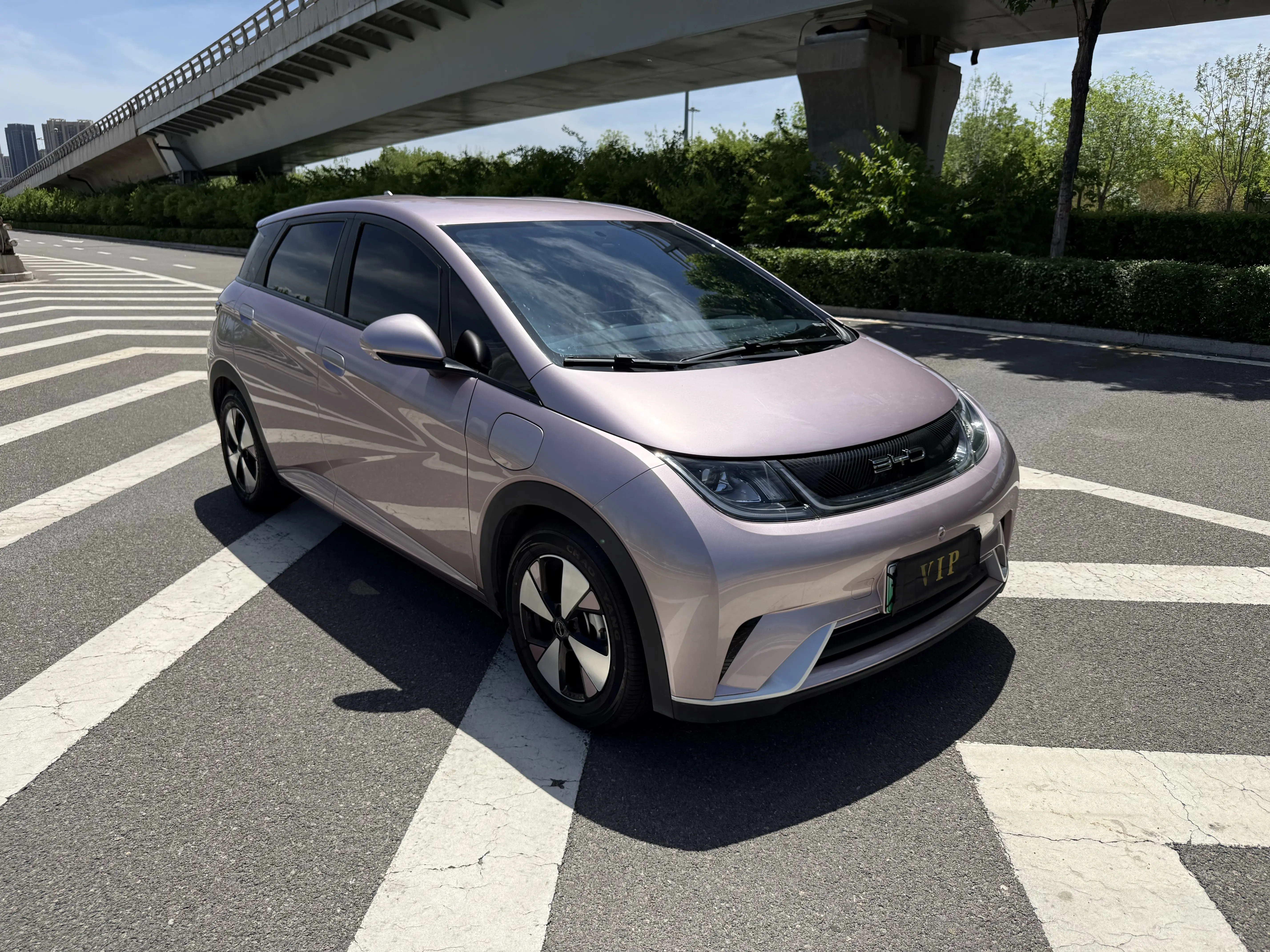 BYD Dolphin