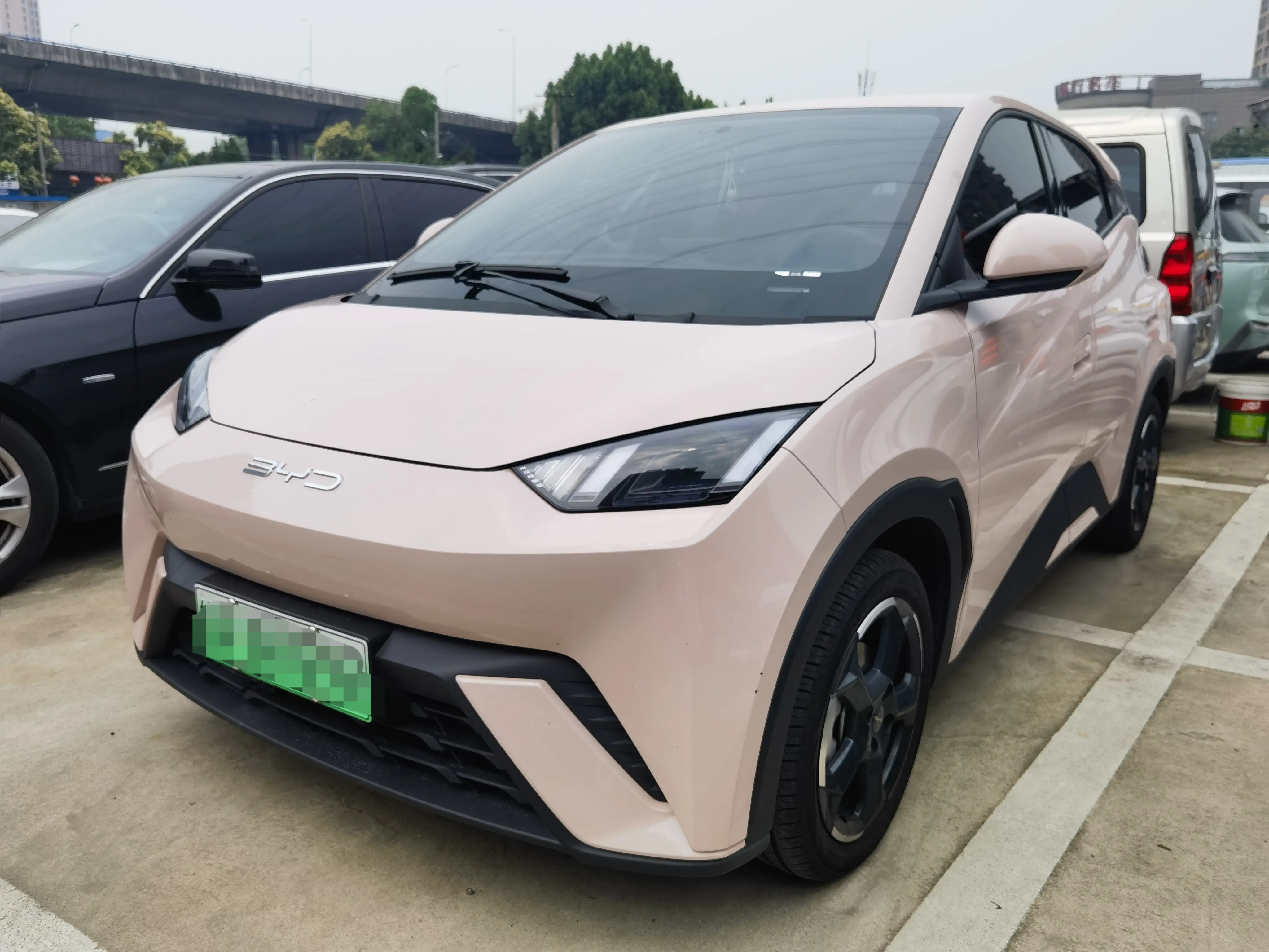 BYD seagull
