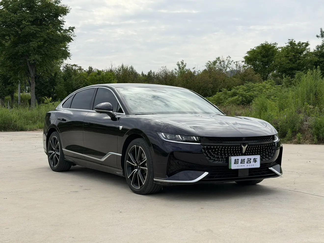 Voyah Passion PHEV