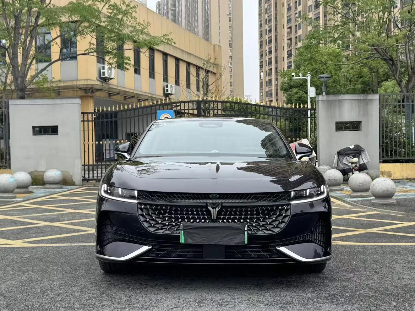 Voyah Passion PHEV