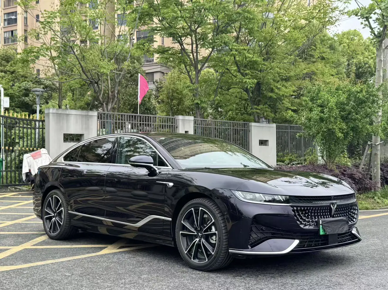 Voyah Passion PHEV