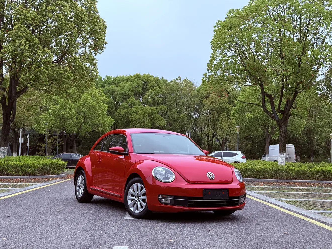 Volkswagen Beetle