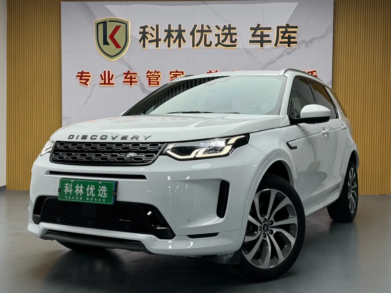 Land Rover Discover Sports  из Китая