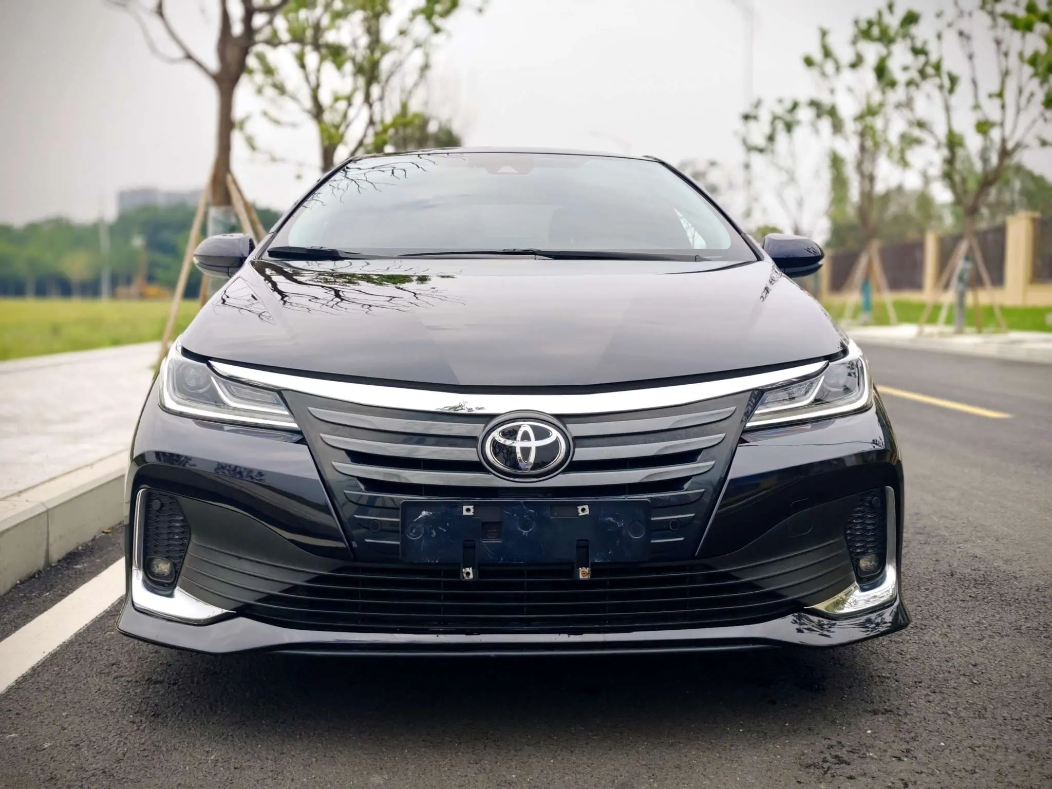 Toyota Asiatic lion