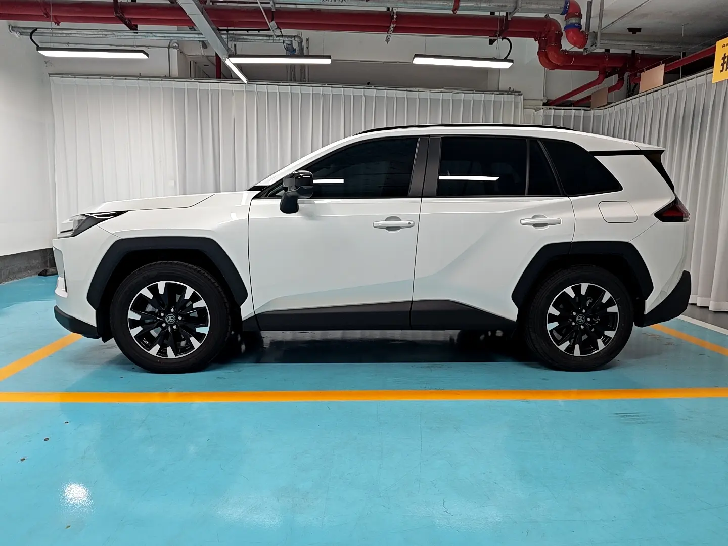 Toyota Willanda