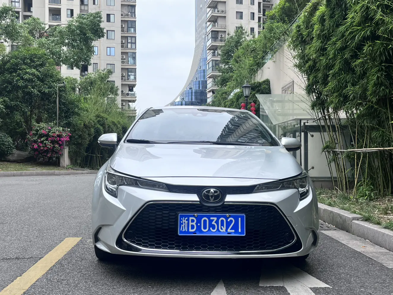 Toyota Levin