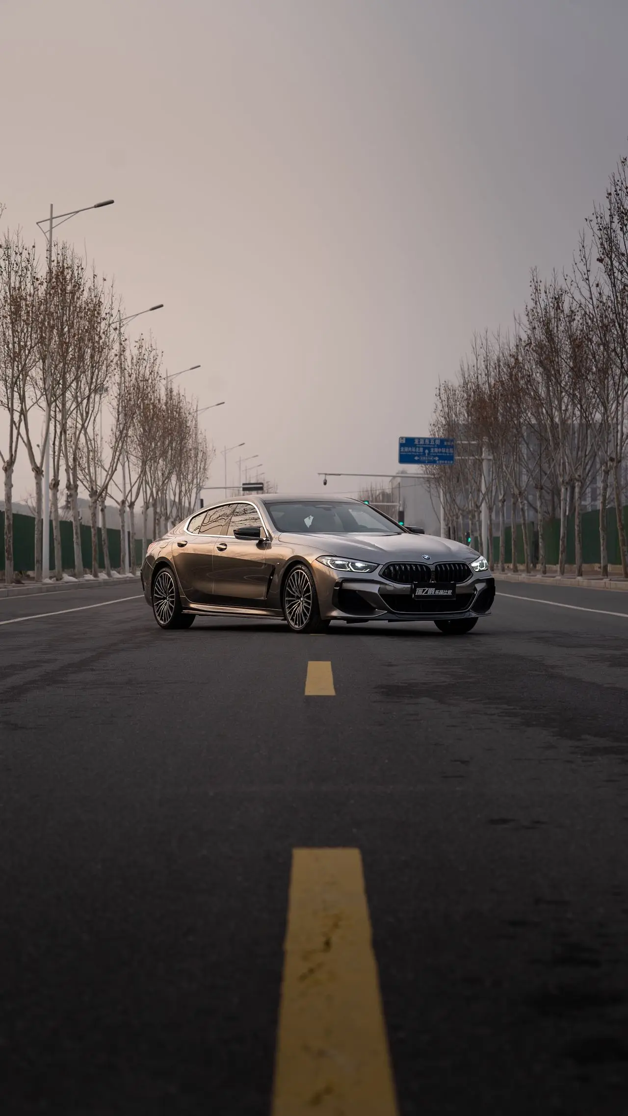 BMW 8 Series