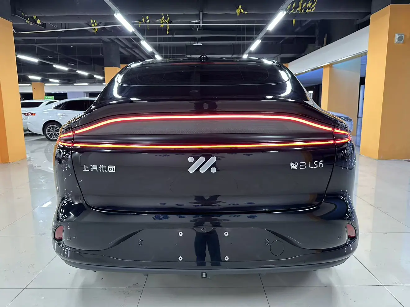 IM Motors LS6