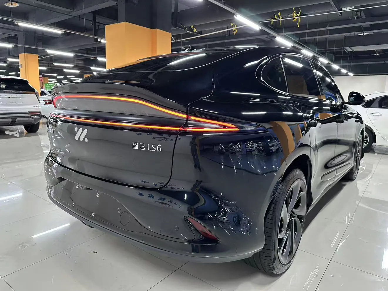 IM Motors LS6