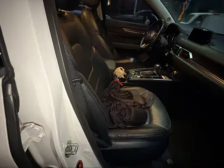 catalog-car-8