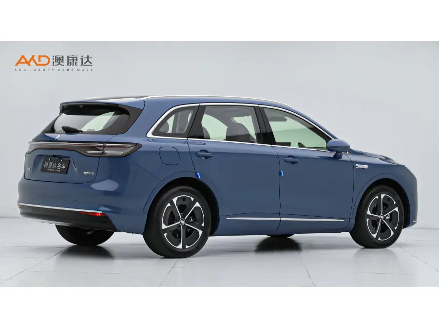 Shangjie H5