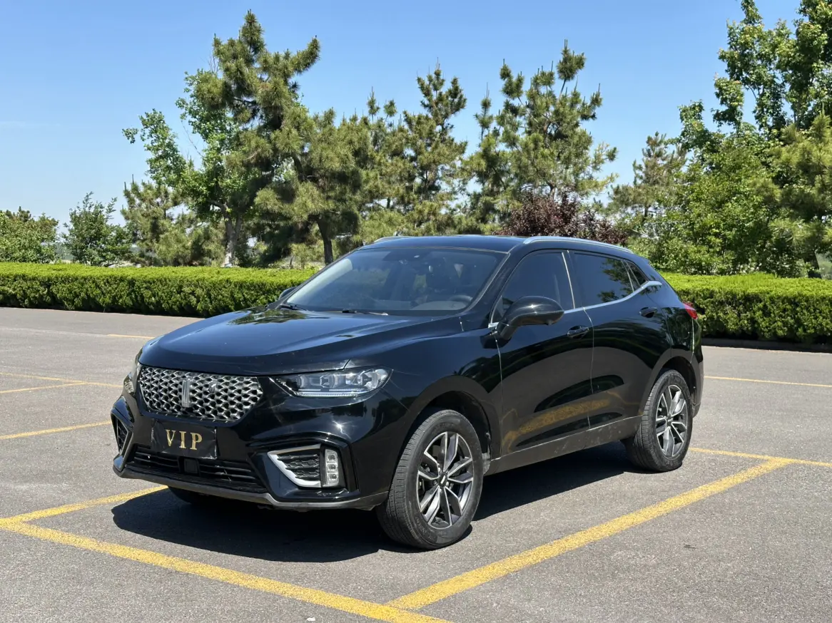 Wey Wei brand VV5