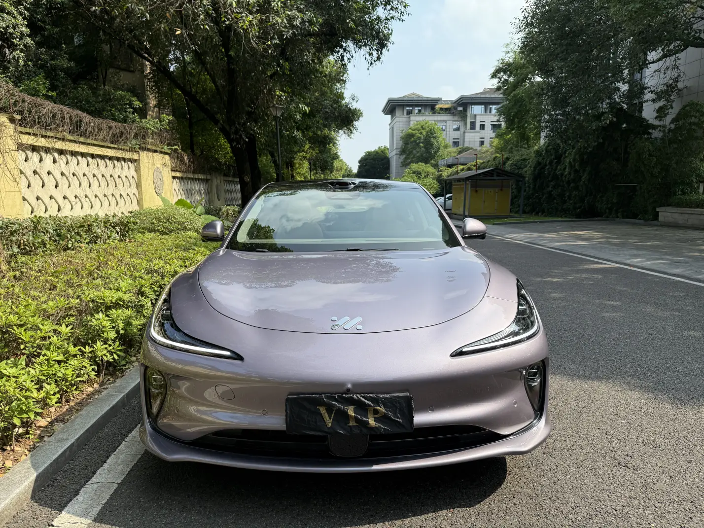 IM Motors L6