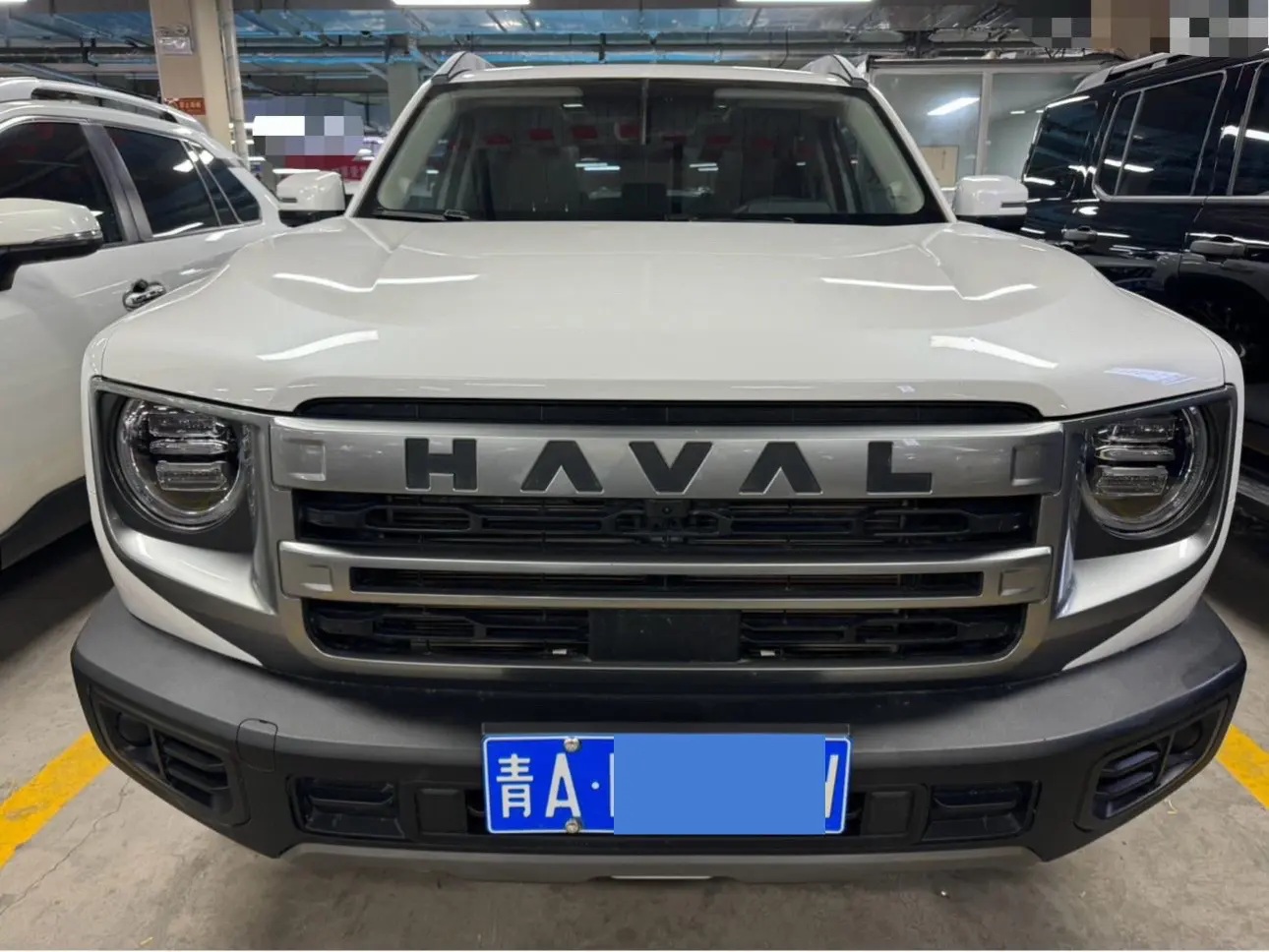 Haval Dargo