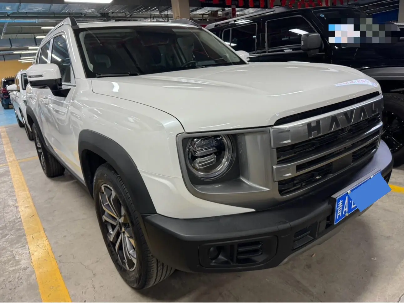 Haval Dargo