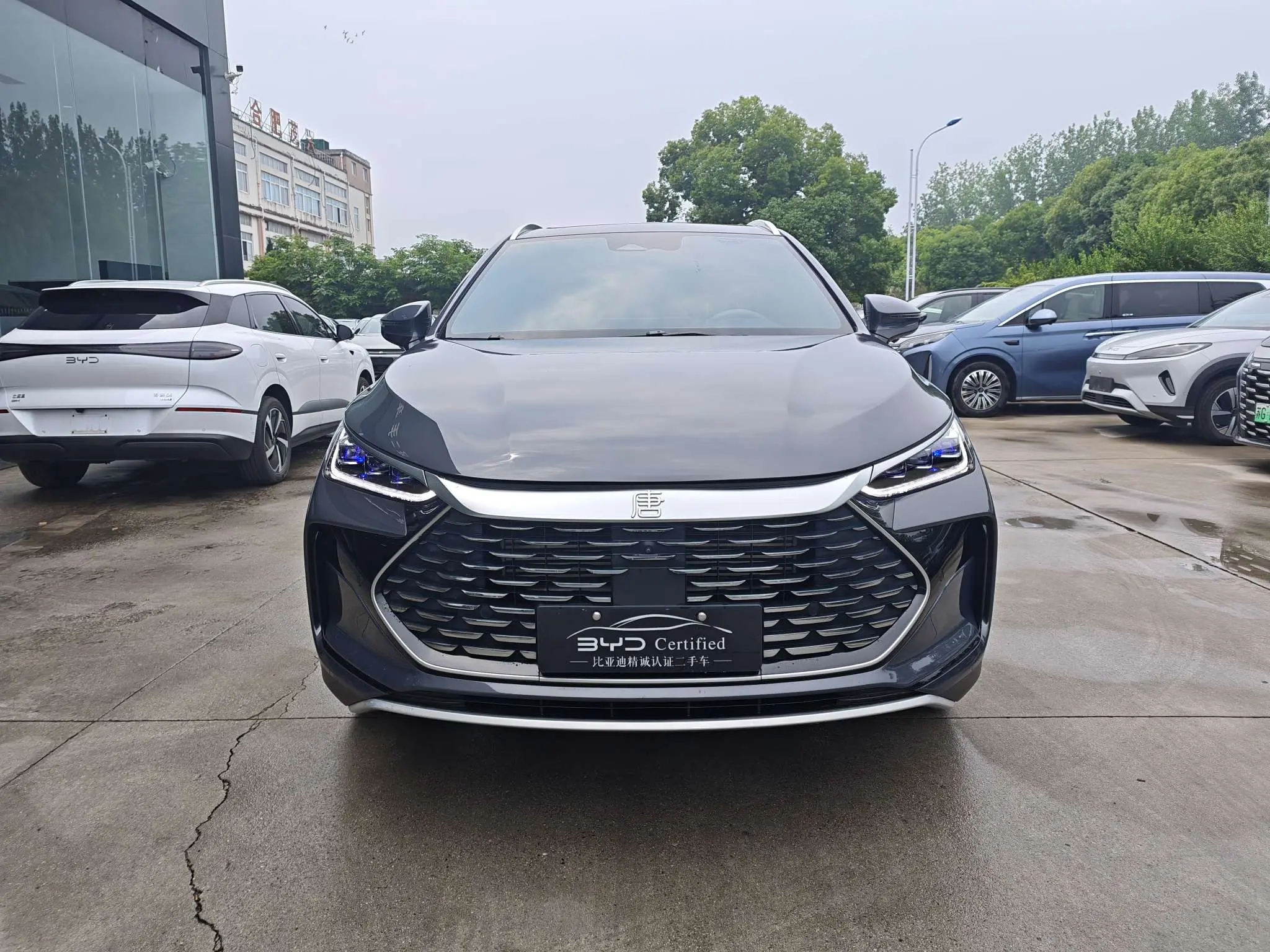 BYD Tang DM