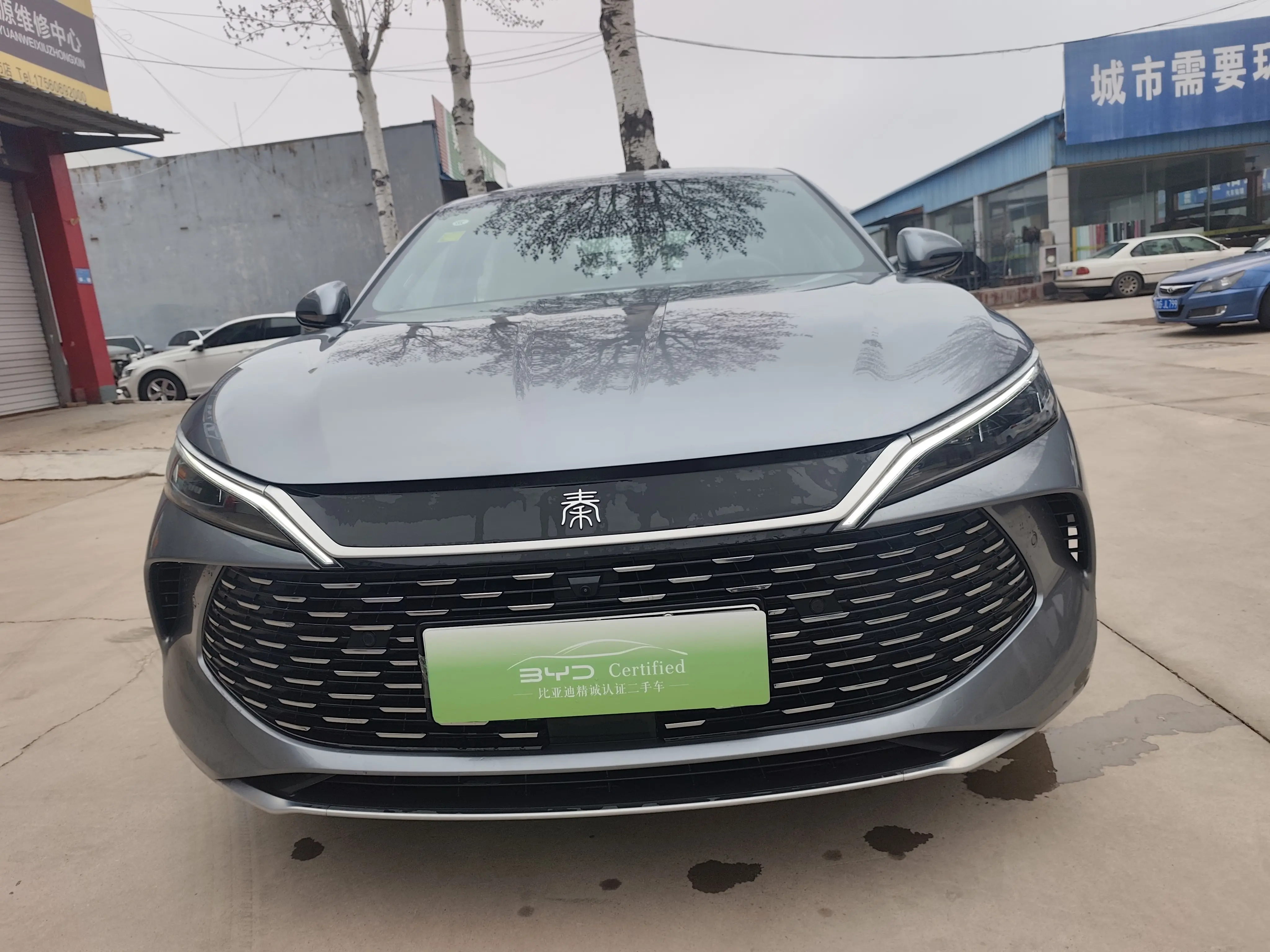BYD Qin L DM