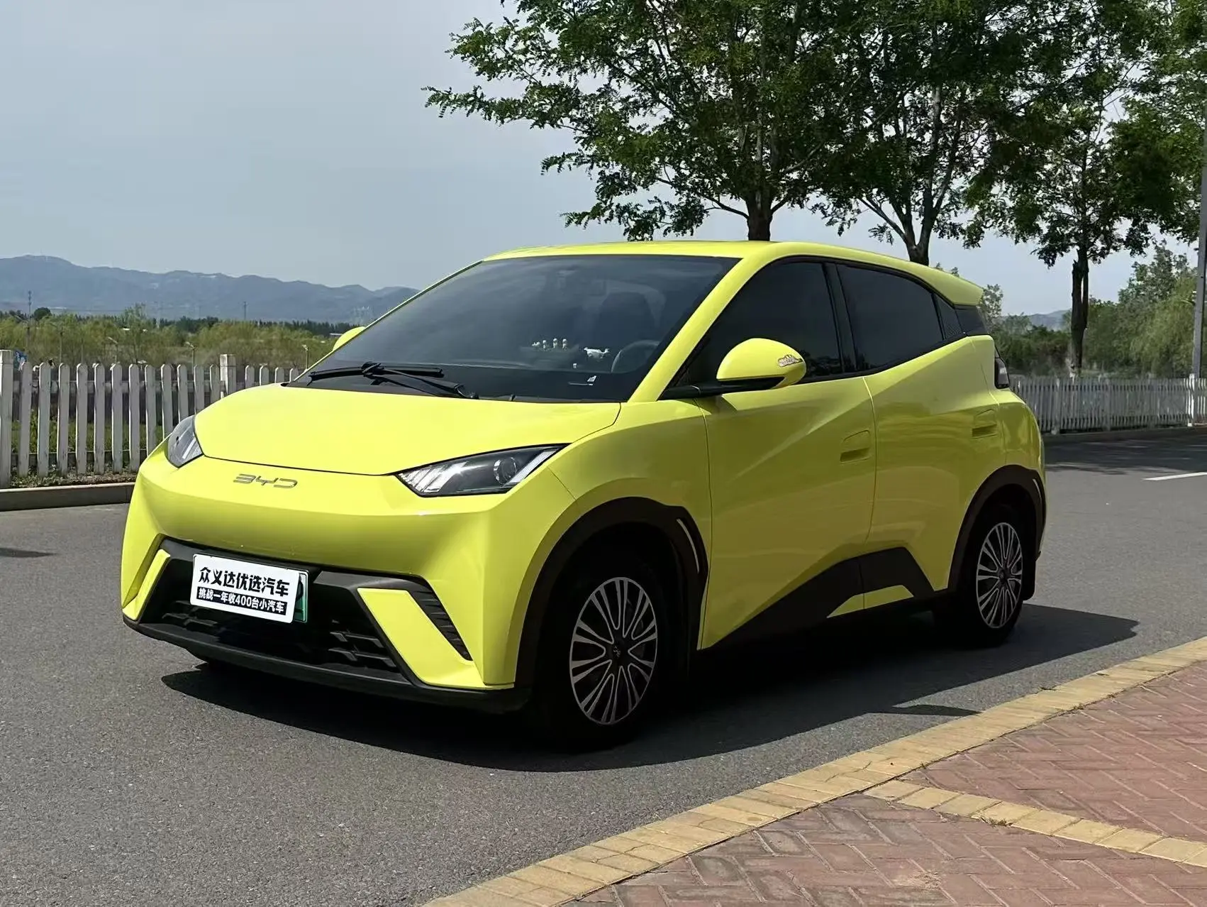 BYD seagull