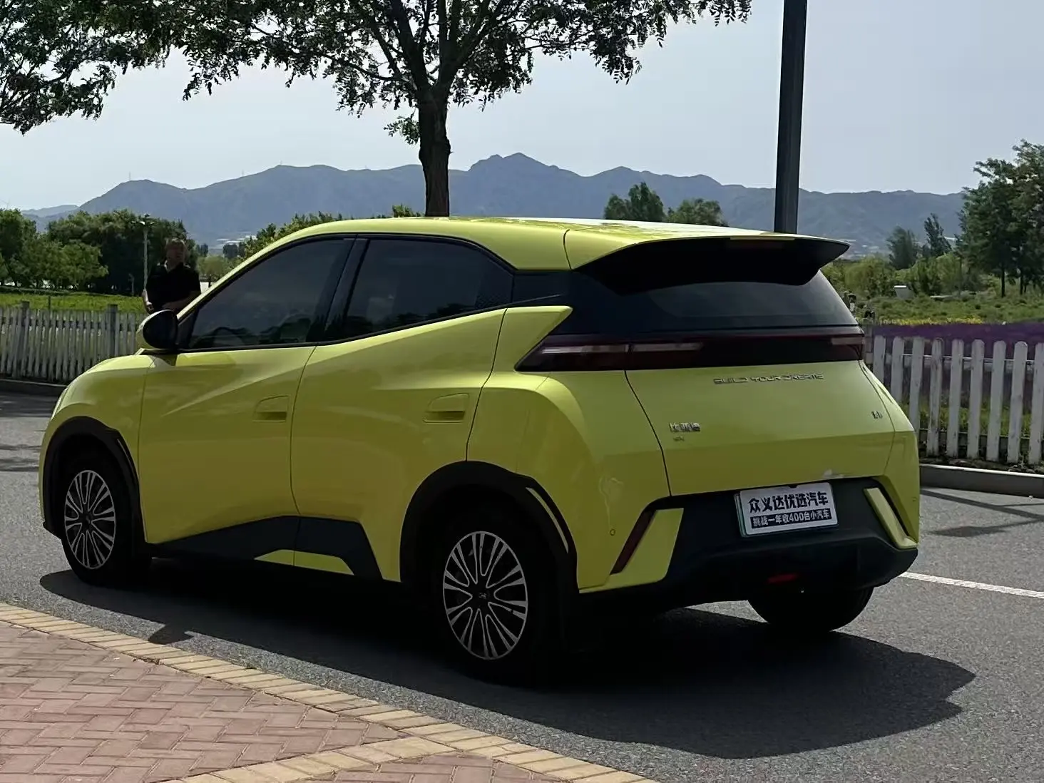 BYD seagull