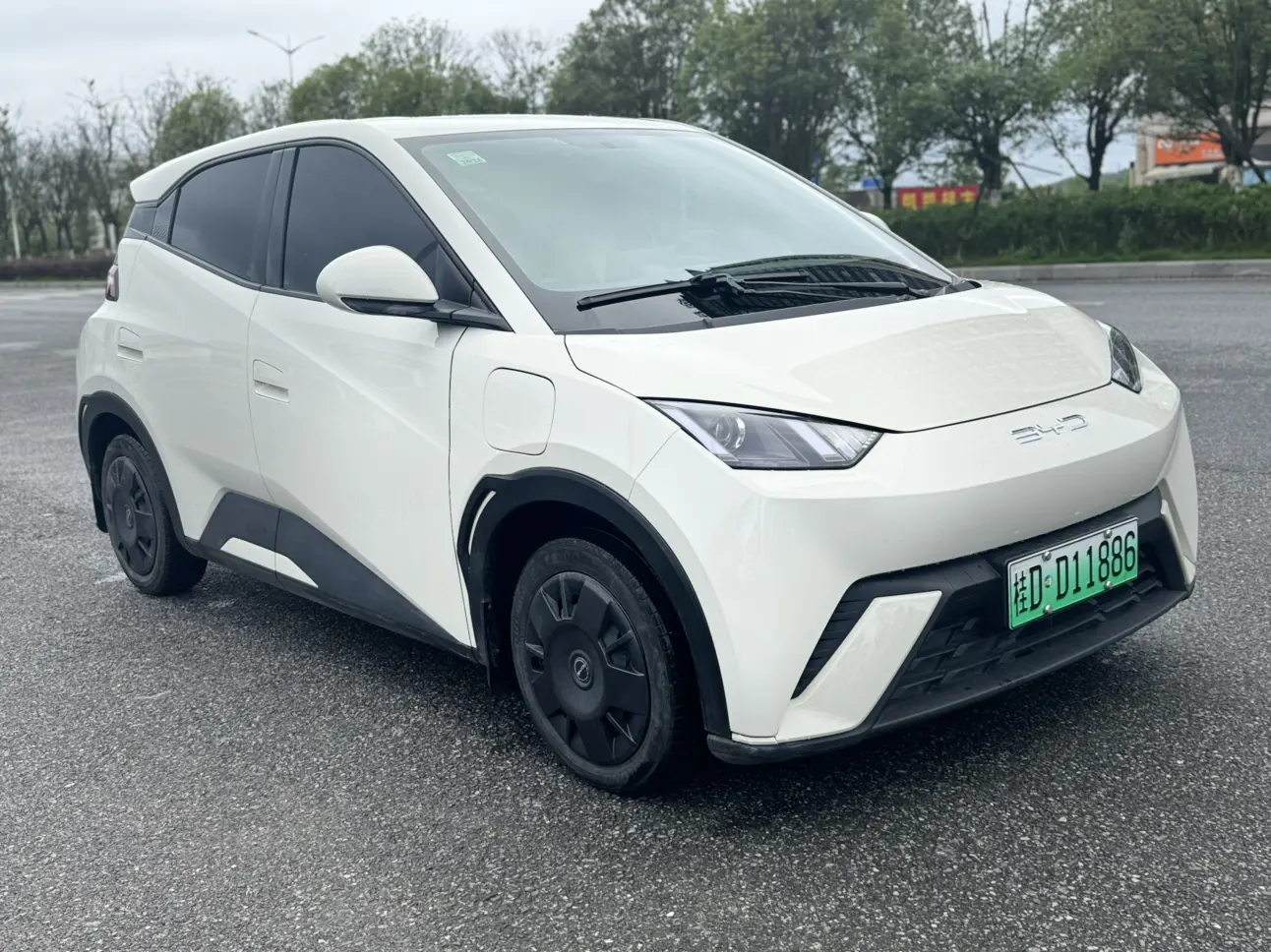 BYD seagull