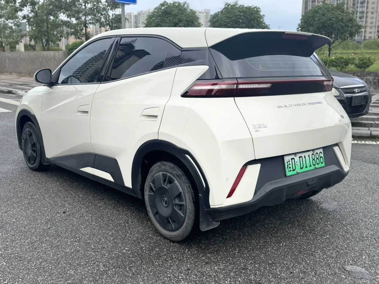 BYD seagull