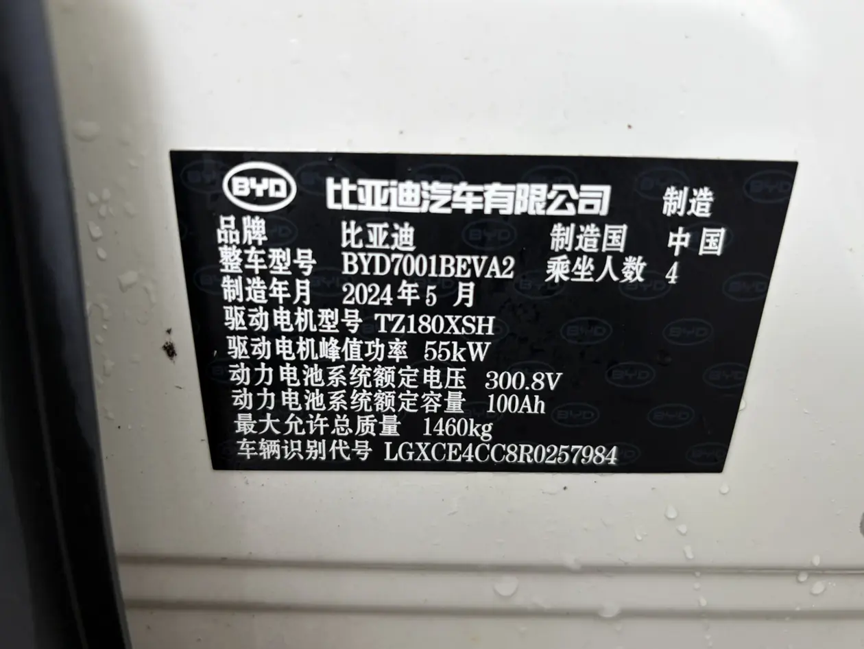 BYD seagull
