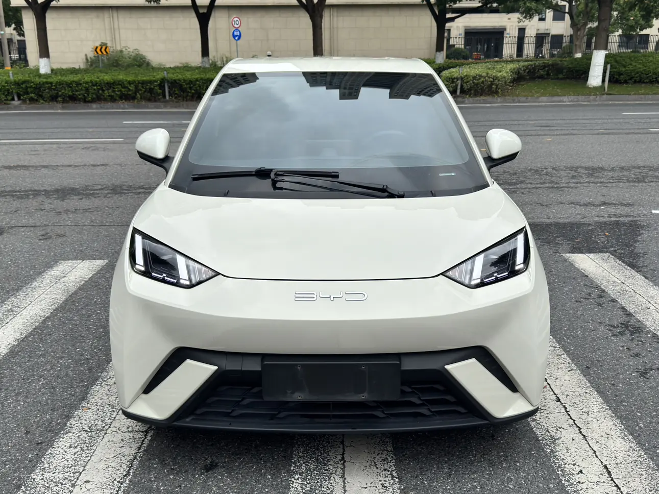 BYD Seagull