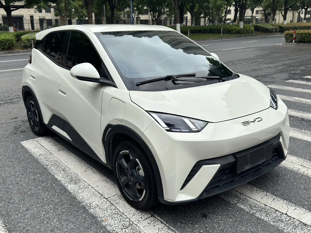 BYD Seagull