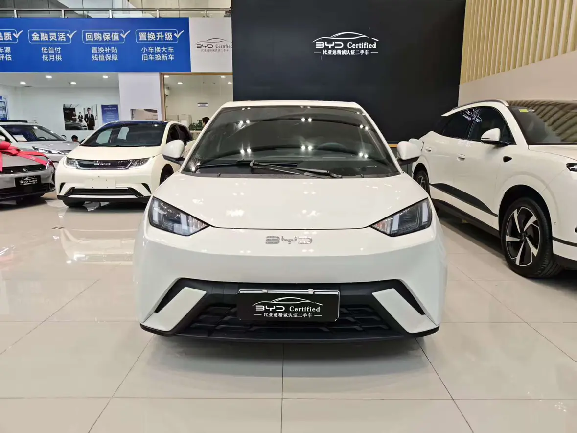 BYD Seagull