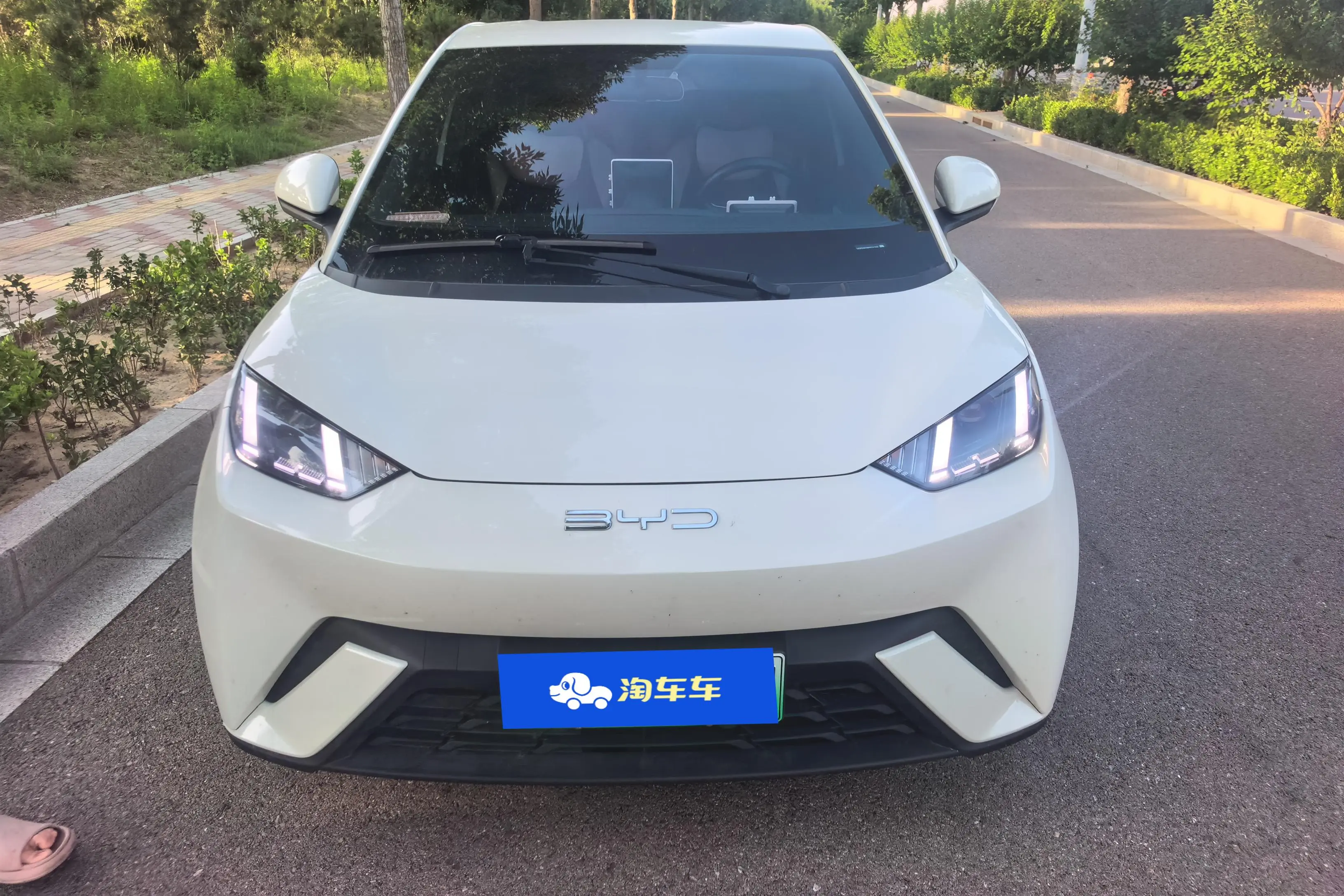 BYD Seagull