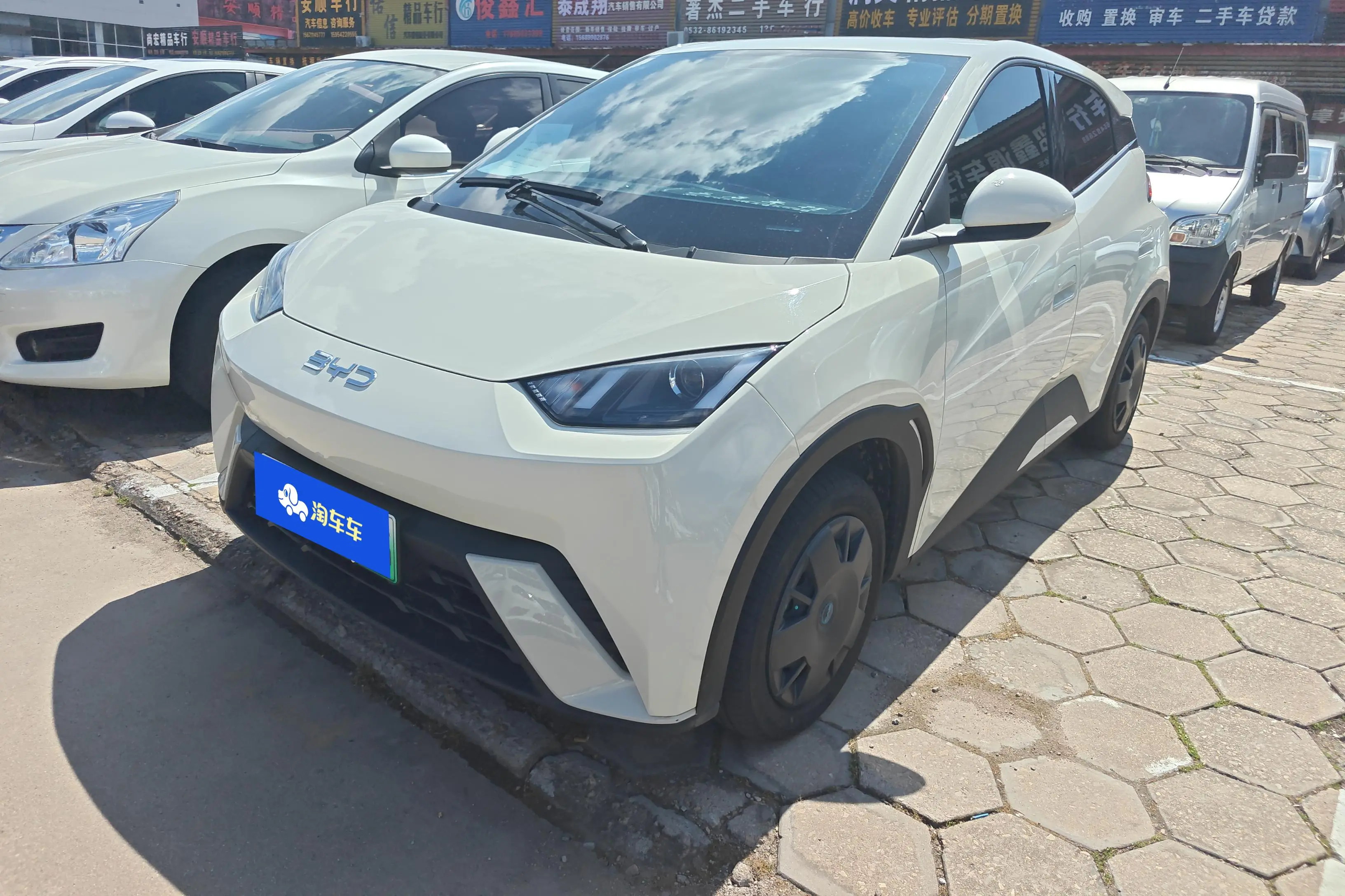 BYD seagull
