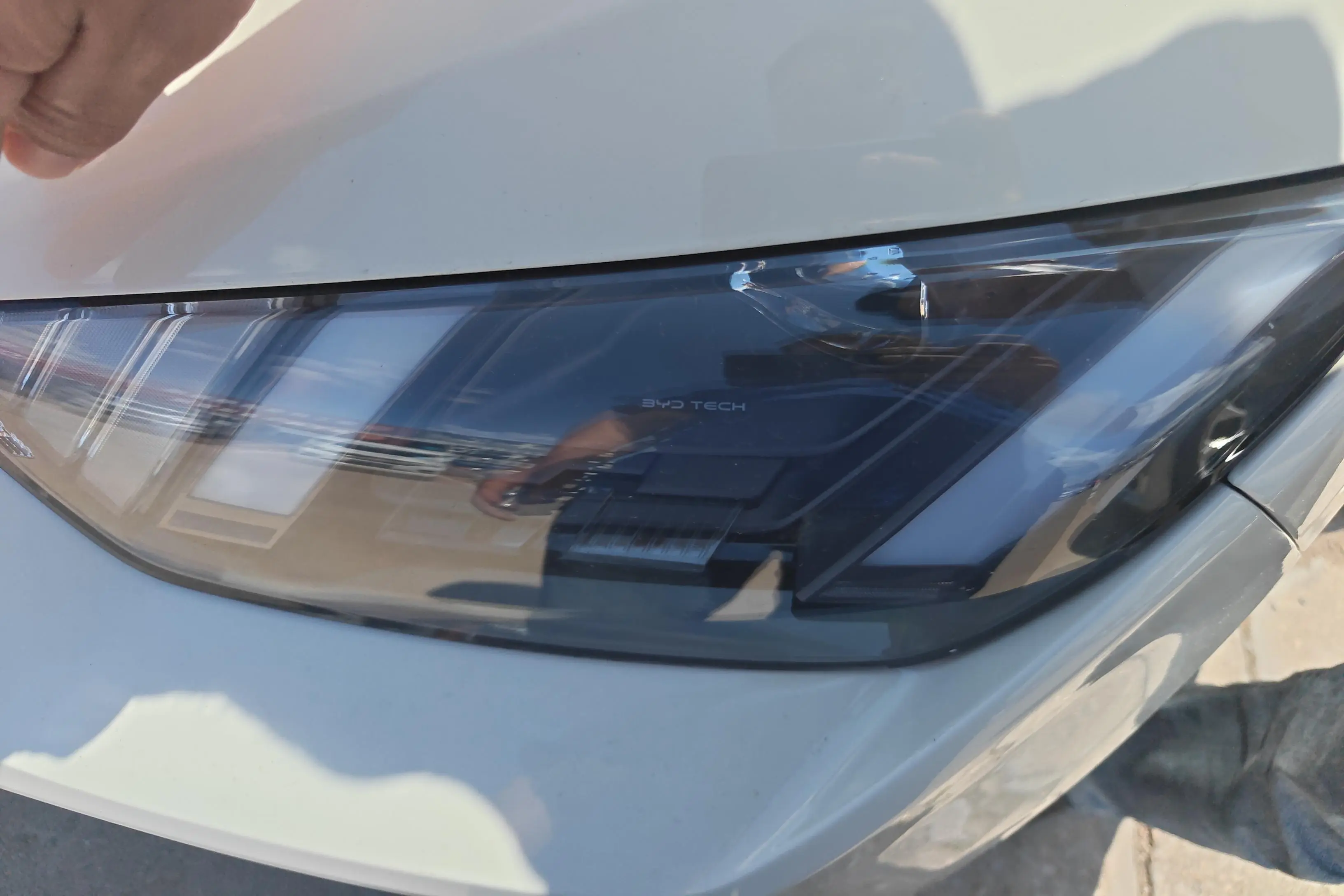 BYD seagull