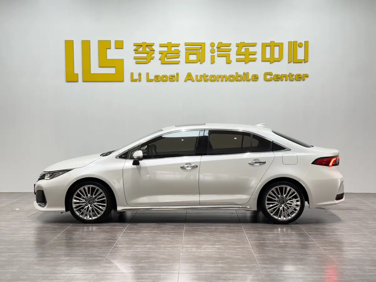 Toyota Asiatic lion