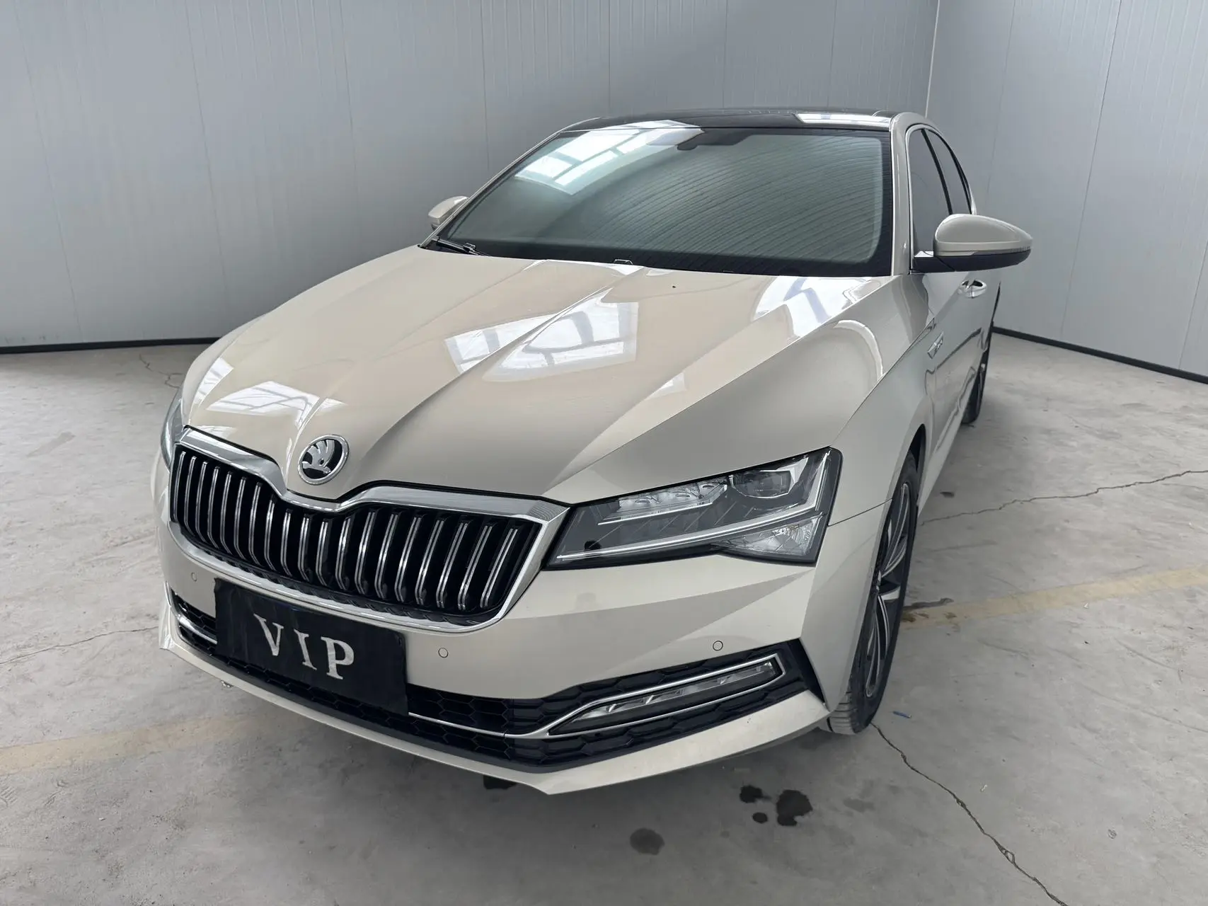 Skoda Speedy