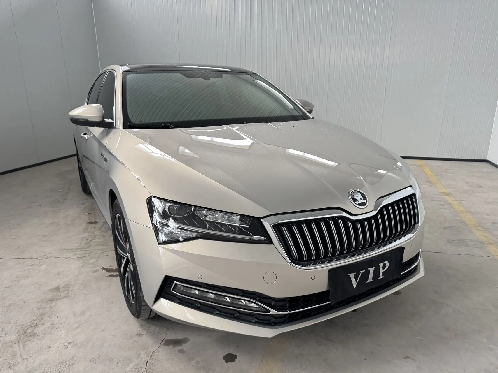 Skoda Speedy