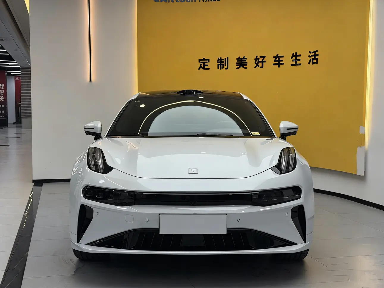 ZEEKR 001