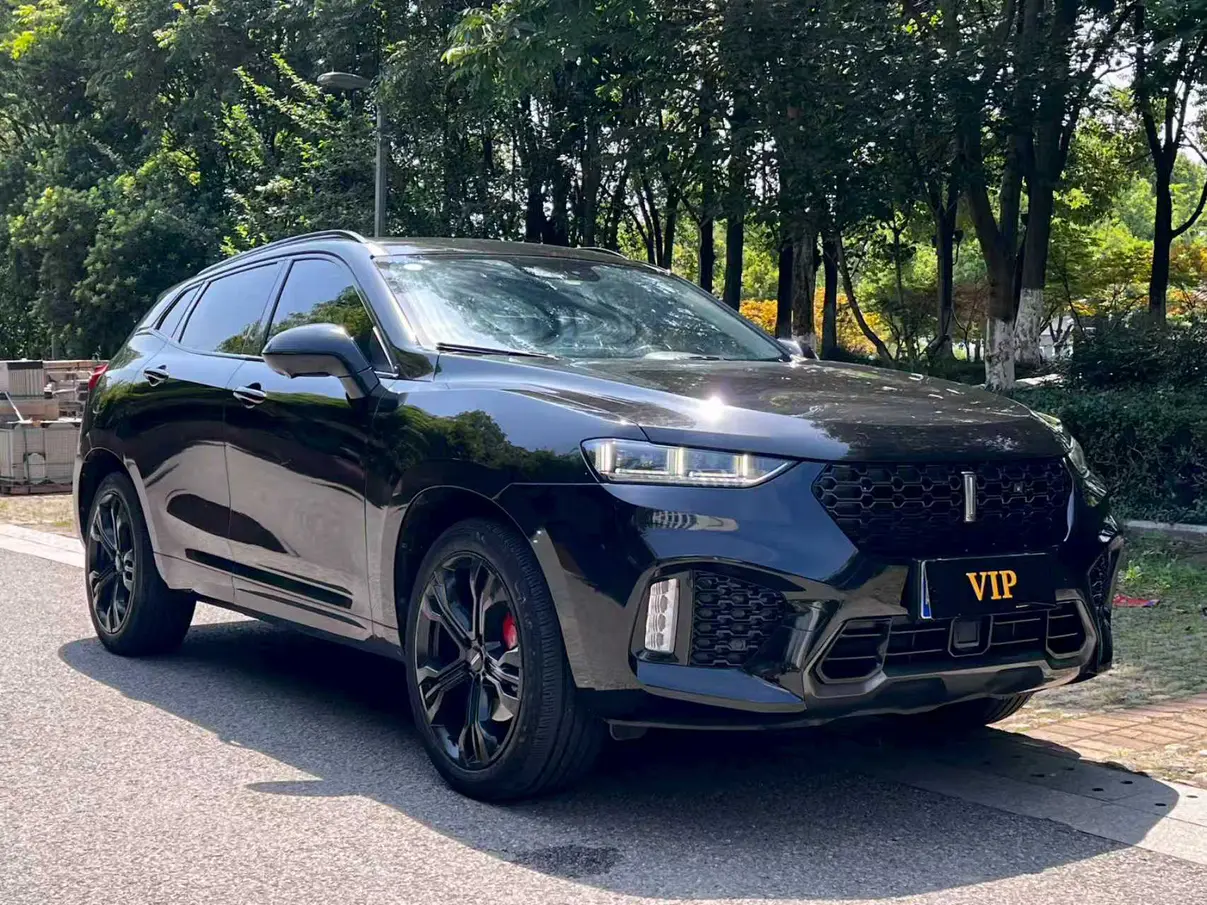 Wey Wei brand VV7