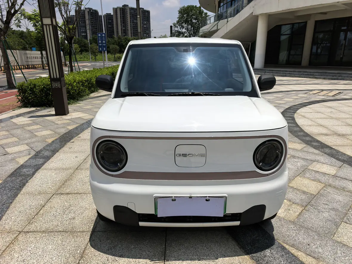 Geely panda