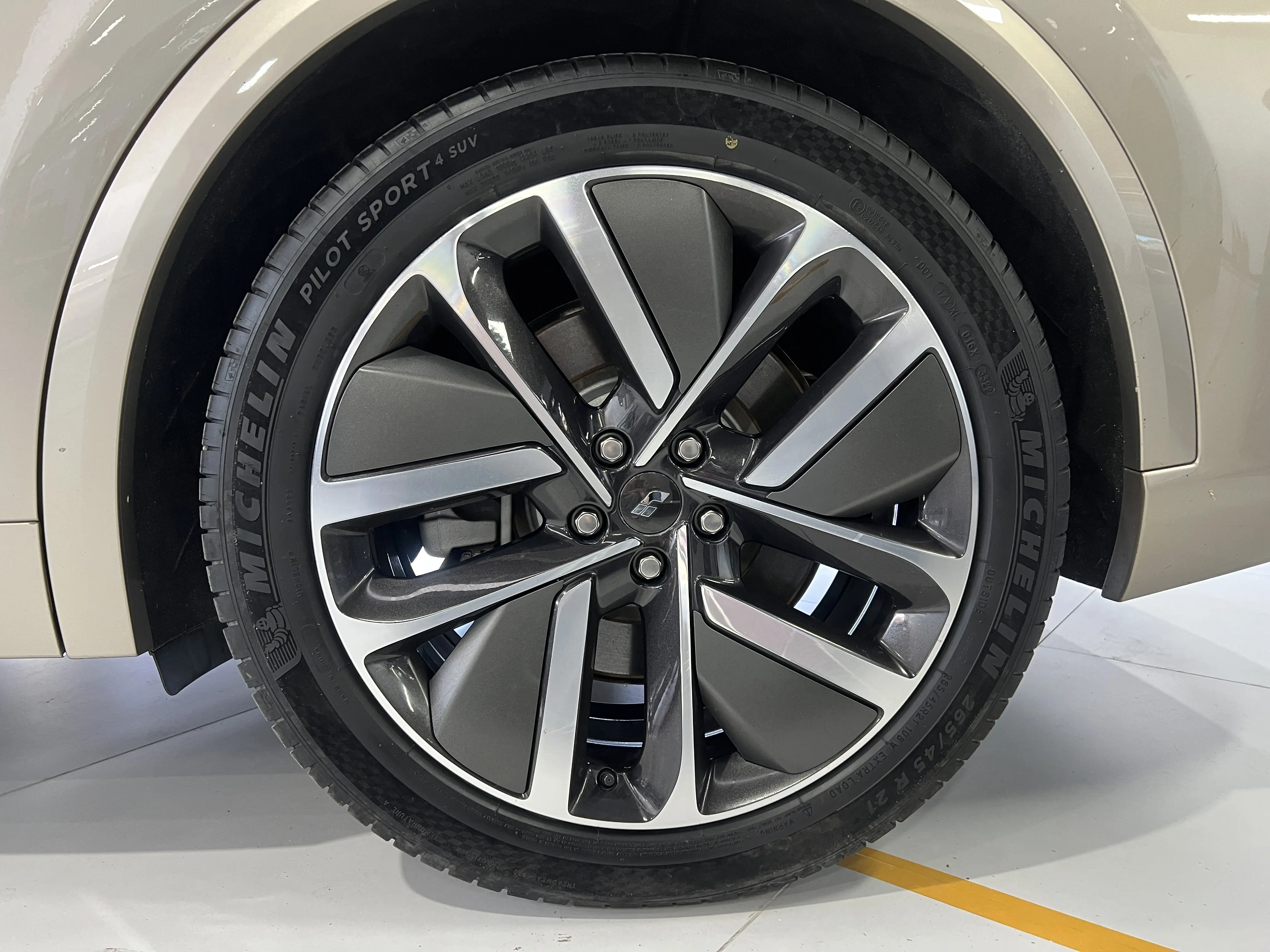 Lixiang L9