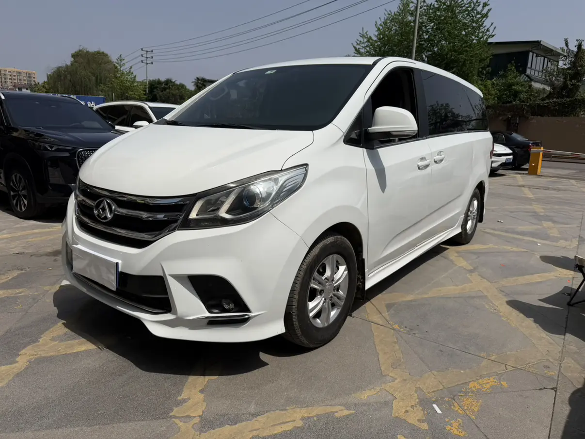 Datong Maxus G10