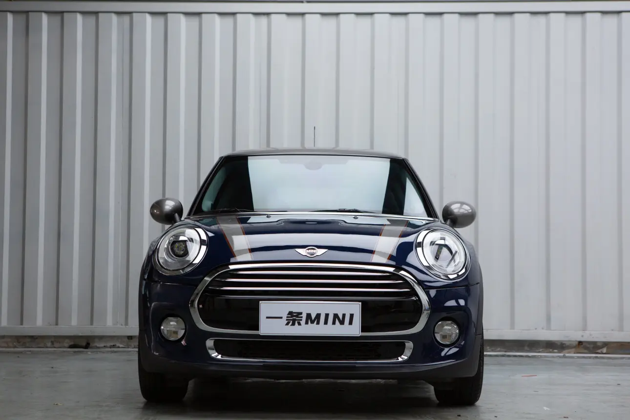MINI 