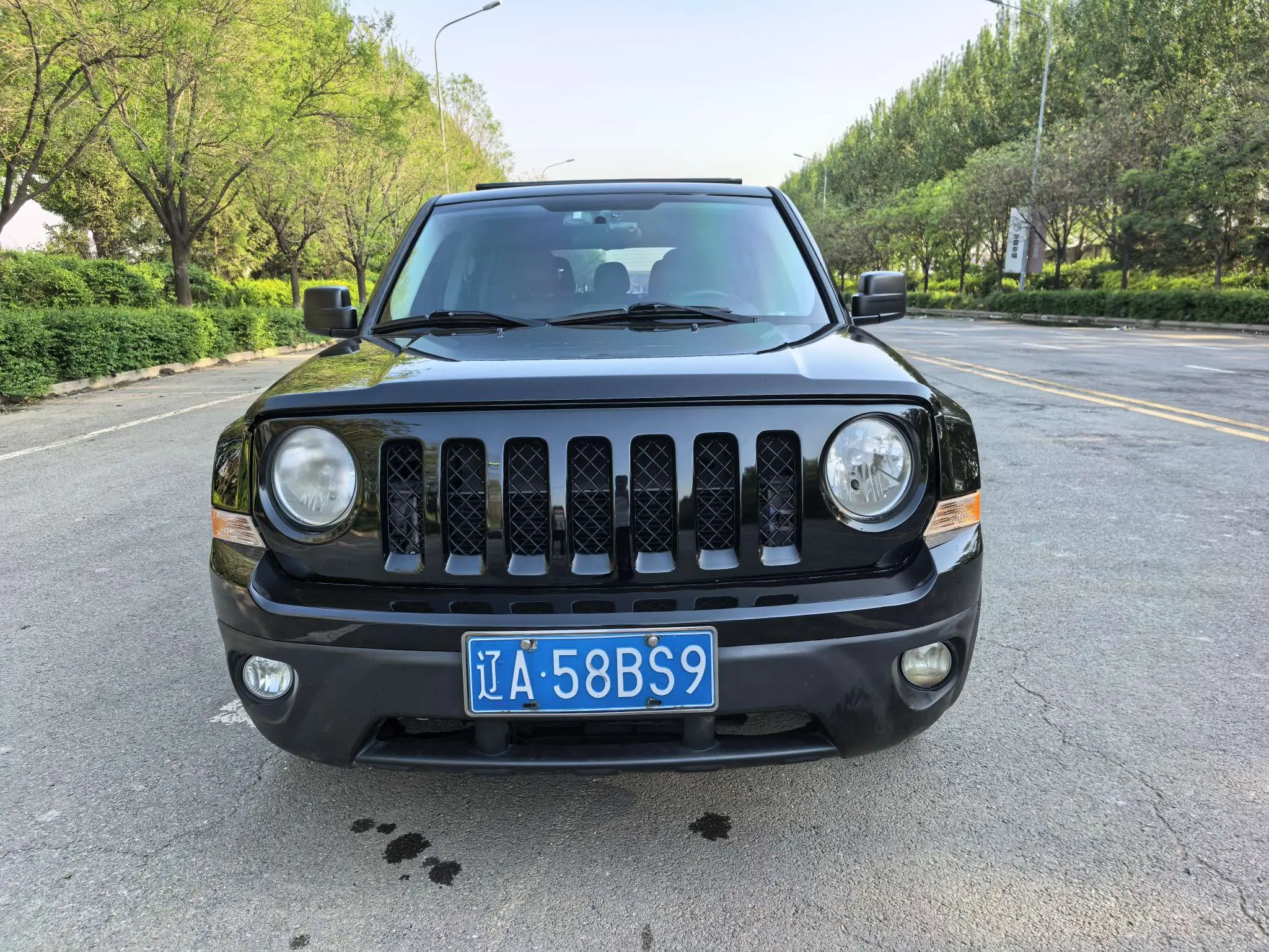 Jeep Freelancer